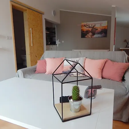 Apartments Coco