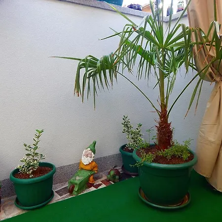 Apartments Coco