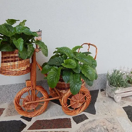 Apartments Coco * Zadar