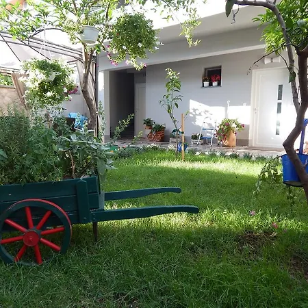 Apartments Coco