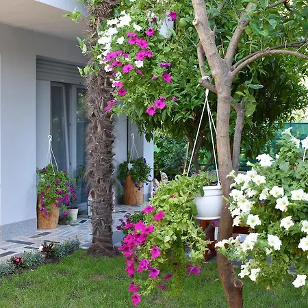 Apartments Coco Zadar